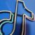 Logo TikTok 25cm
